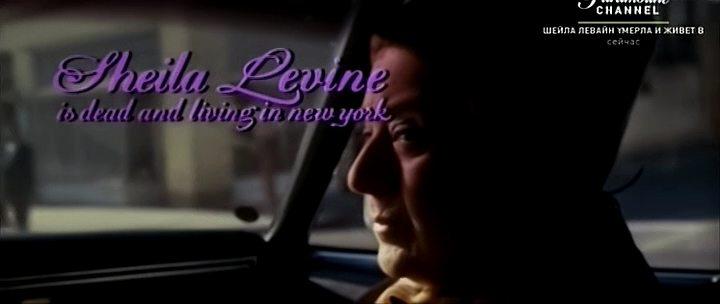 Кадр из фильма Шейла Левайн умерла и живет в Нью-Йорке / Sheila Levine Is Dead and Living in New York (1975)
