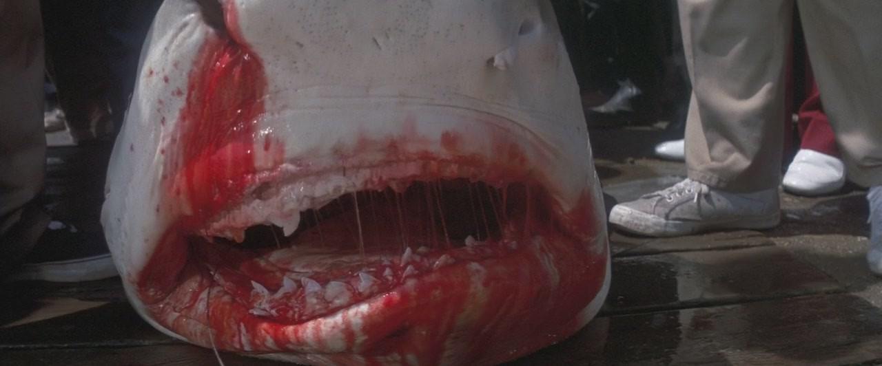 Кадр из фильма Челюсти / Jaws (1975)