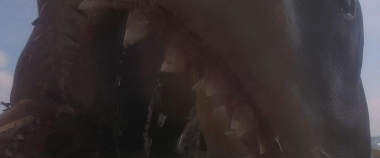 Кадр из фильма Челюсти / Jaws (1975)