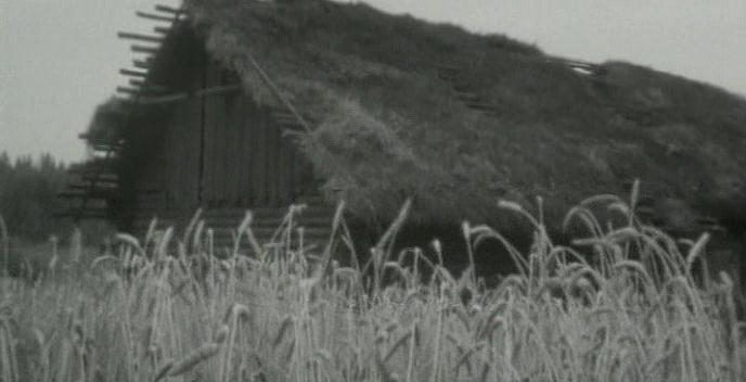 Кадр из фильма Волчья стая (1975)