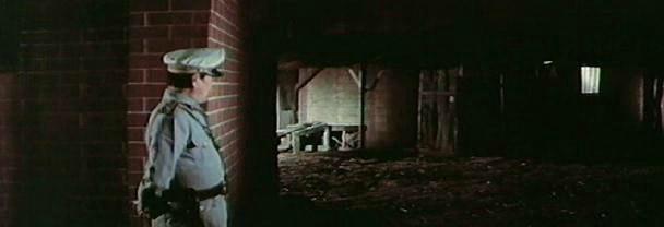 Кадр из фильма Месть в тигриной клетке / Captifs (1976)