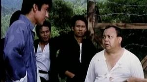 Кадры из фильма Поражение злобных тигров / Lao hu sha xing (1976)