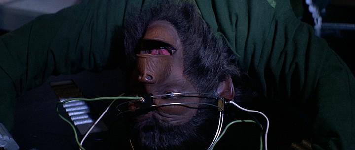 Кадр из фильма Планета обезьян 4: Покорение планеты обезьян / Conquest of the Planet of the Apes (1972)