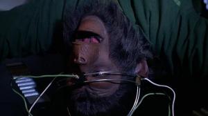 Кадры из фильма Планета обезьян