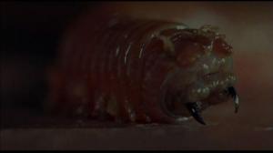 Кадры из фильма Корча / Squirm (1976)