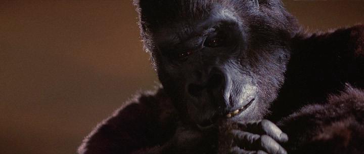Кадр из фильма Кинг Конг / King Kong (1976)