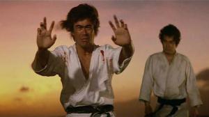 Кадры из фильма Обречённый на одиночество 3 / Karate baka ichidai (1977)