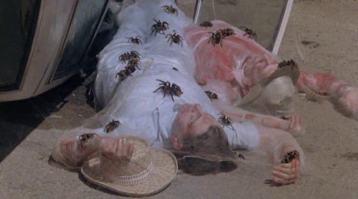 Кадр из фильма Царство пауков / Kingdom of the Spiders (1977)