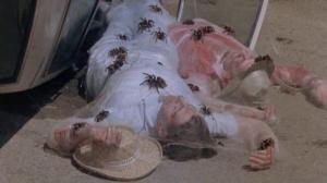 Кадры из фильма Царство пауков / Kingdom of the Spiders (1977)
