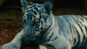 Кадры из фильма Синий тигр / Modrý tygr (2012)