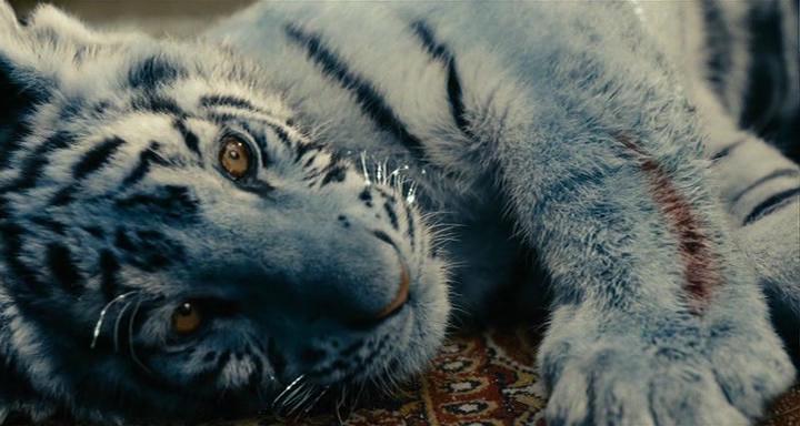 Кадр из фильма Синий тигр / Modrý tygr (2012)