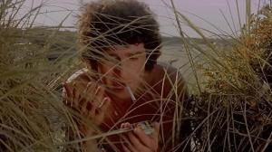 Кадры из фильма Пляжный домик / Casotto (1977)
