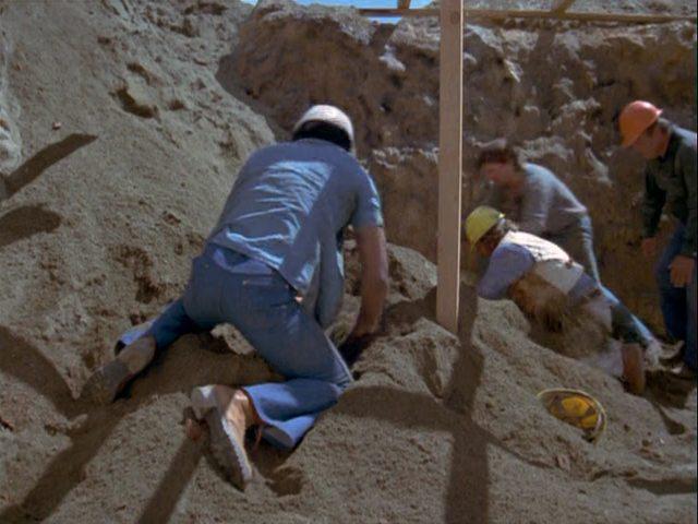 Кадр из фильма Муравьи убийцы / Ants! (1977)