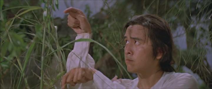 Кадр из фильма Шаолиньский богомол / Tang lang (1978)