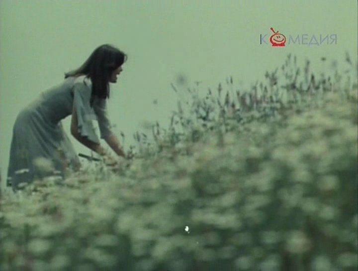 Кадр из фильма Три жениха (1978)