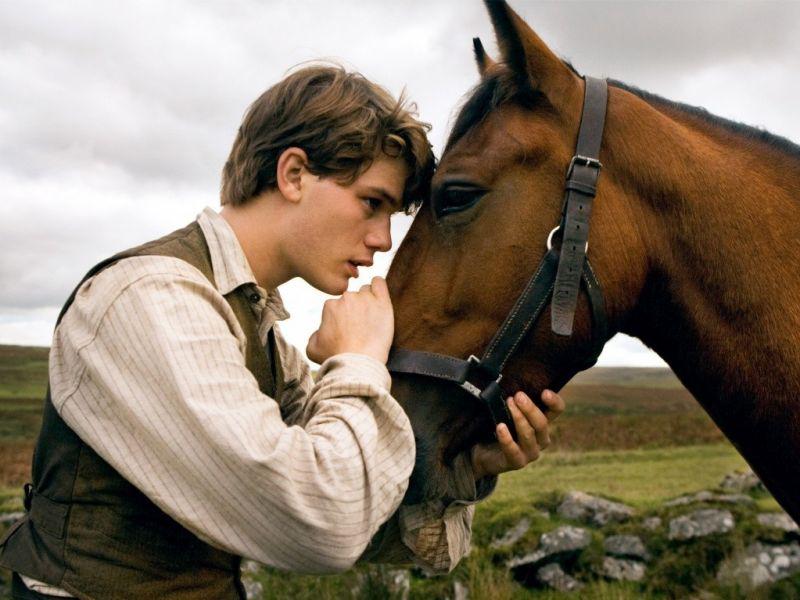 Кадр из фильма Боевой конь / War Horse (2012)