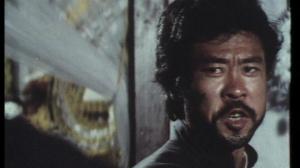 Кадры из фильма Красный мастер Шаолиня / Hong yi la ma (1978)