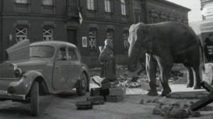 Кадры из фильма Солдат и слон (1978)