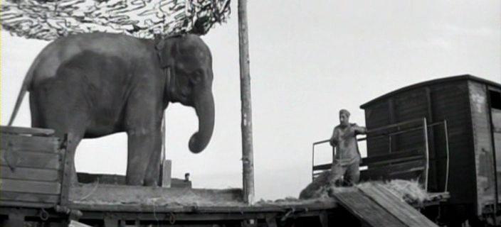 Кадр из фильма Солдат и слон (1978)