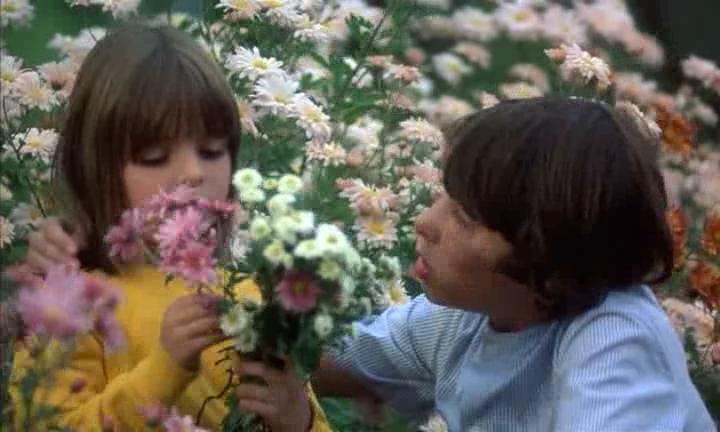 Кадр из фильма Осторожно, смотрят дети / Attention, les enfants regardent (1978)