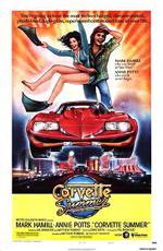 Лето в поисках «Корвета» / Corvette Summer (1978)