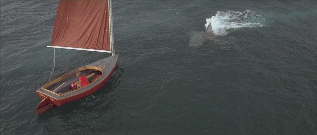 Кадр из фильма Челюсти 2 / Jaws 2 (1978)