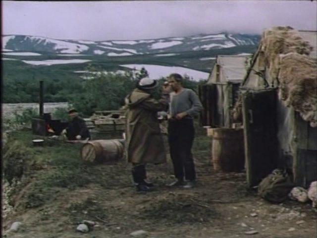 Кадр из фильма Территория (1978)