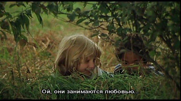 Кадр из фильма Семь веснушек / Sieben Sommersprossen (1978)