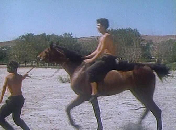 Кадр из фильма Цыган. Возвращение Будулая (1979)