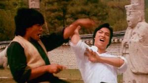 Кадры из фильма Смертельный поединок мастеров кунг-фу / He xing dao shou tang lang tui (1979)