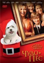 Чудо-пёс / My Dog's Christmas Miracle (2011)