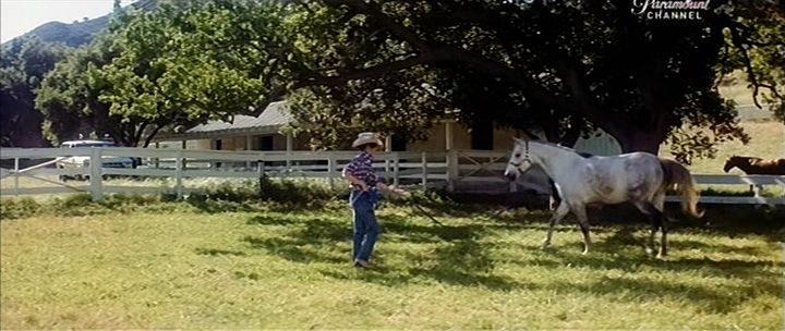 Кадр из фильма Северный Даллас Сорок / North Dallas Forty (1979)