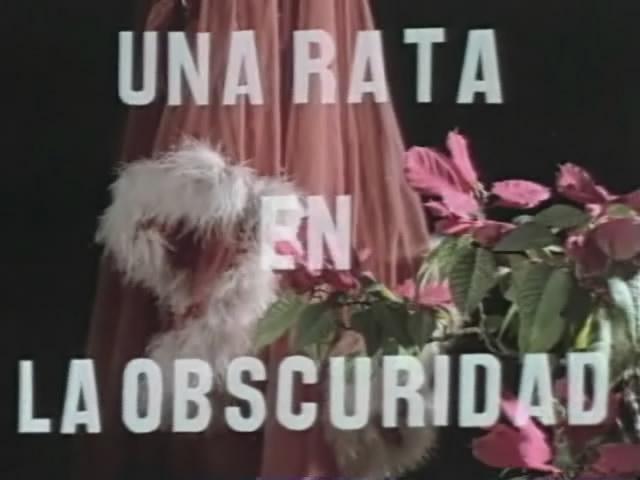 Кадр из фильма Крыса во тьме / Una rata en la oscuridad (1979)