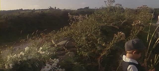 Кадр из фильма Тэсс / Tess (1979)