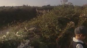 Кадры из фильма Тэсс / Tess (1979)