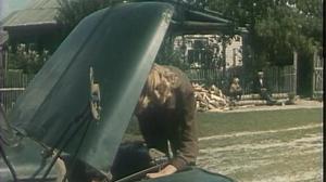 Кадры из фильма Тростинка на ветру (1980)