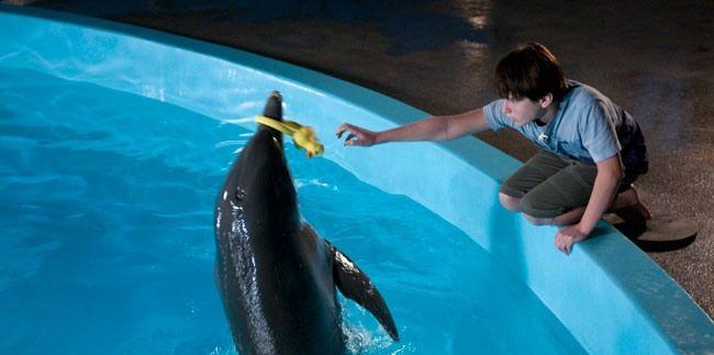 Кадр из фильма История дельфина / Dolphin Tale (2011)