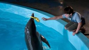 Кадры из фильма История дельфина / Dolphin Tale (2011)