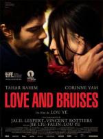 Любовь и ссадины / Love and Bruises (2011)