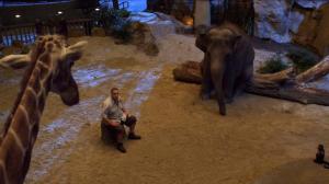 Кадры из фильма Мой парень из зоопарка / Zookeeper (2011)