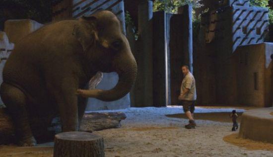 Кадр из фильма Мой парень из зоопарка / Zookeeper (2011)