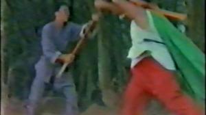 Кадры из фильма Благородство Шаолиньского кунгфу / Shao Lin tong zi gong (1981)