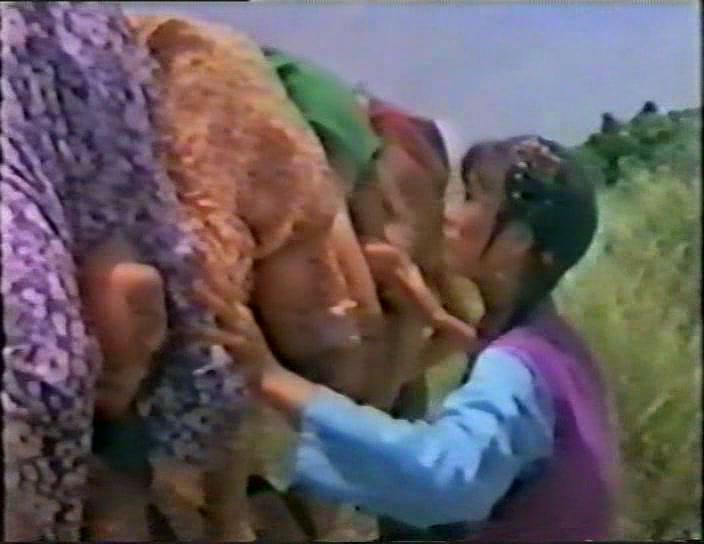 Кадр из фильма Благородство Шаолиньского кунгфу / Shao Lin tong zi gong (1981)