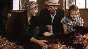 Кадры из фильма Девушка и Гранд (1981)