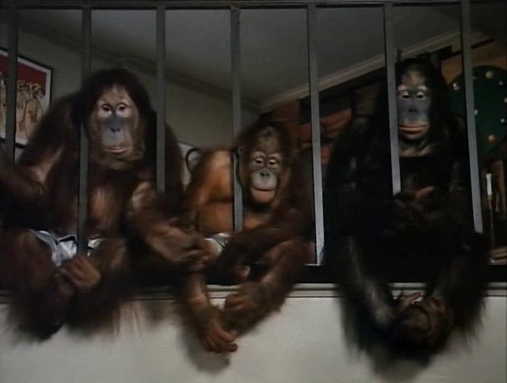Кадр из фильма Обезьянник / Going Ape! (1981)