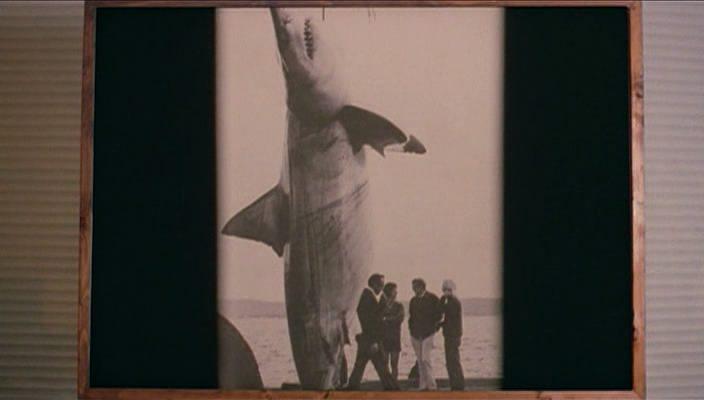 Кадр из фильма Последняя Акула / L'ultimo squalo (1981)