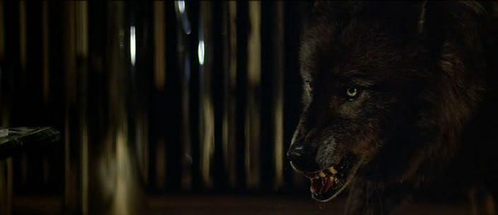 Кадр из фильма Волки / Wolfen (1981)