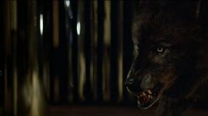 Кадры из фильма Волки / Wolfen (1981)