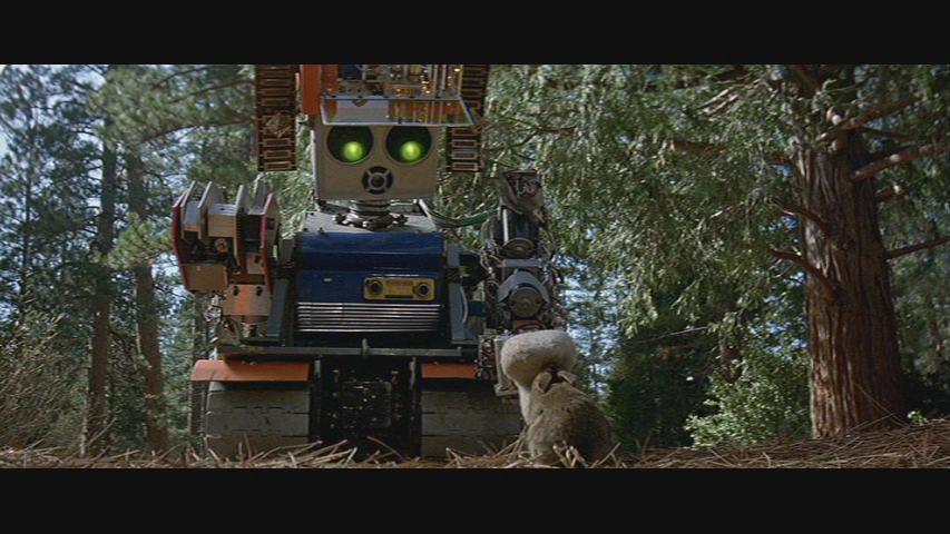 Кадр из фильма Побег роботов / Heartbeeps (1981)