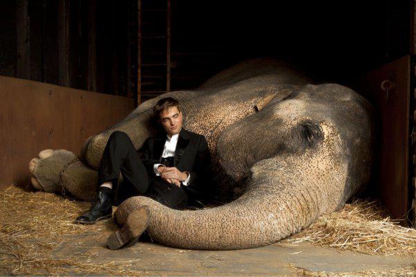 Кадр из фильма Воды слонам! / Water for Elephants (2011)